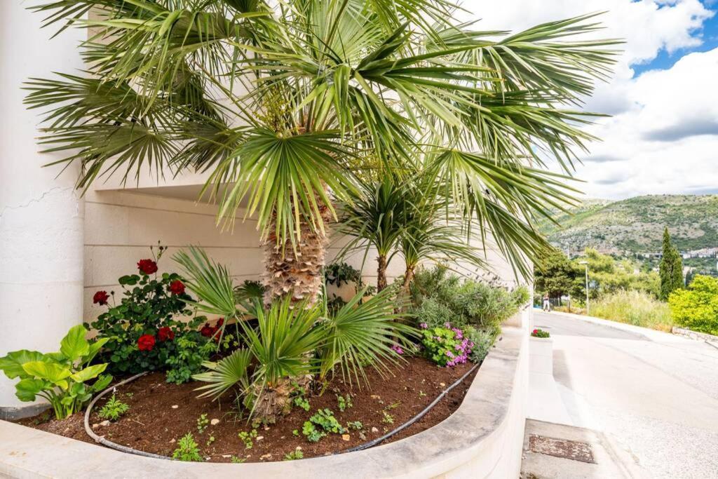 Villa Diana: Bayside View Beauty - A Romantic Home دوبروفينك المظهر الخارجي الصورة